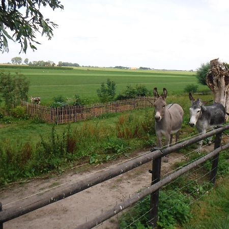 Benb Erf 9 Bed & Breakfast Kampen Luaran gambar